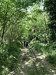 IMG_0607
