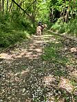 IMG_0608