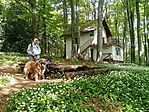 IMG_20250503_110459
