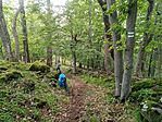 IMG_20250524_132038