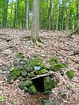 IMG_20250524_134845