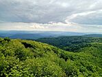 IMG_20250524_144801-EDIT