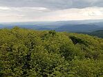 IMG_20250524_144426