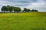 DSC_1951