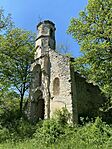 IMG_6731