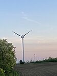 IMG_6852