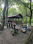 IMG_6845
