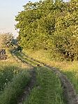 IMG_6842