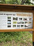 IMG_7123