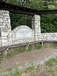 IMG_7137