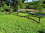 DSC02535