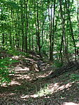 DSC02521