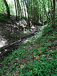 DSC02491