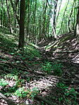 DSC02492