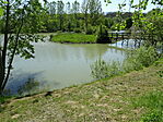 DSC02479