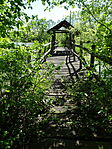 DSC02480