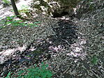 DSC02874