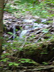 DSC02785