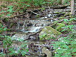 DSC02789