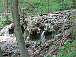 DSC02791
