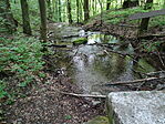 DSC02800