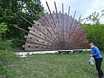 DSC02804