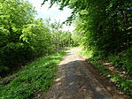 DSC02774