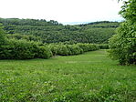 DSC02776