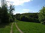 DSC02780