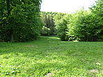 DSC02781