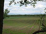 DSC02745