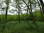 DSC02748