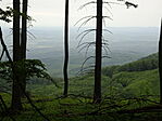 DSC02953