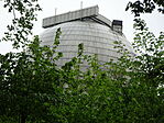 DSC02955