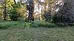 20250502_185053