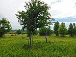 2025 05 19 Kapolcs-Szentbékálla (16)