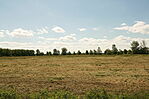 IMG_4194
