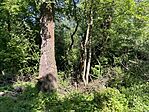 IMG_5057