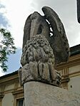 Pelikán