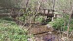 IMG_20250412_124951
