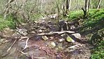 IMG_20250412_125150