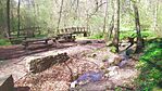 IMG_20250412_124819