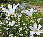 20250504_130436_resized