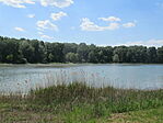 IMG_6785
