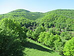 IMG_6600