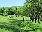 IMG_6613