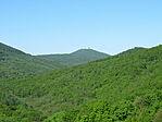 IMG_6596