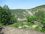 IMG_6859