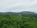 IMG_6896