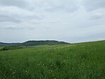 IMG_6937